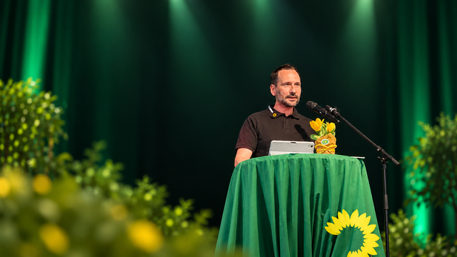 Grüner Funken auf der Lenne